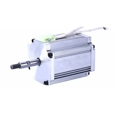 220V 브러시리스 DC 모터 공장